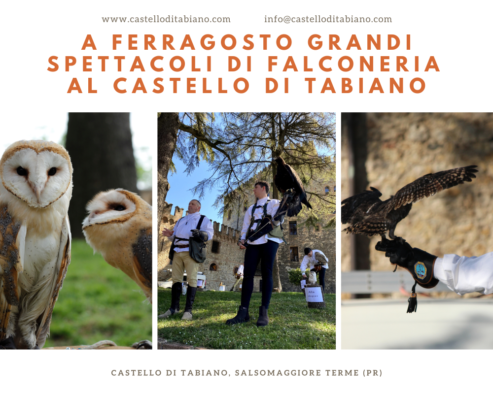 Claire immagine dell'evento: GRANDI SPETTACOLI DI FALCONERIA - AQUILE E GUFI IN VOLO AL CASTELLO DI TABIANO